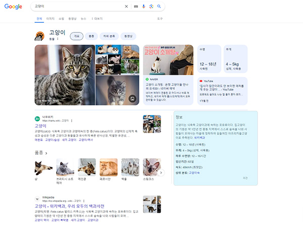 고양이 검색을통해 SERP의 지식 그래프(Knowledge Graph)를 설명하고 있다.